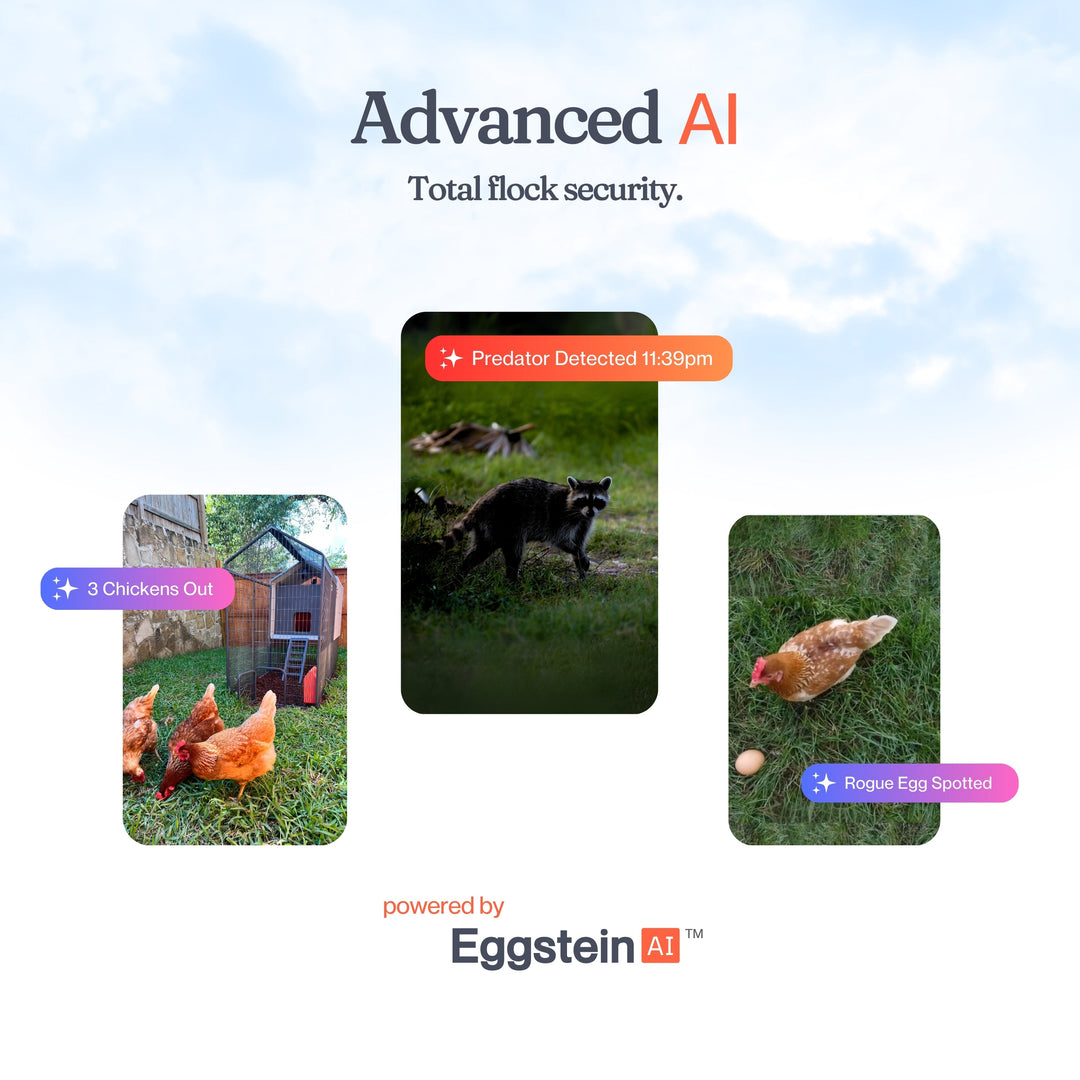 Smart Chicken Coop