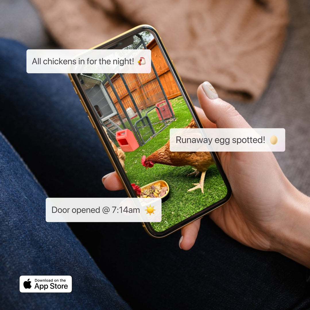 Smart Chicken Coop