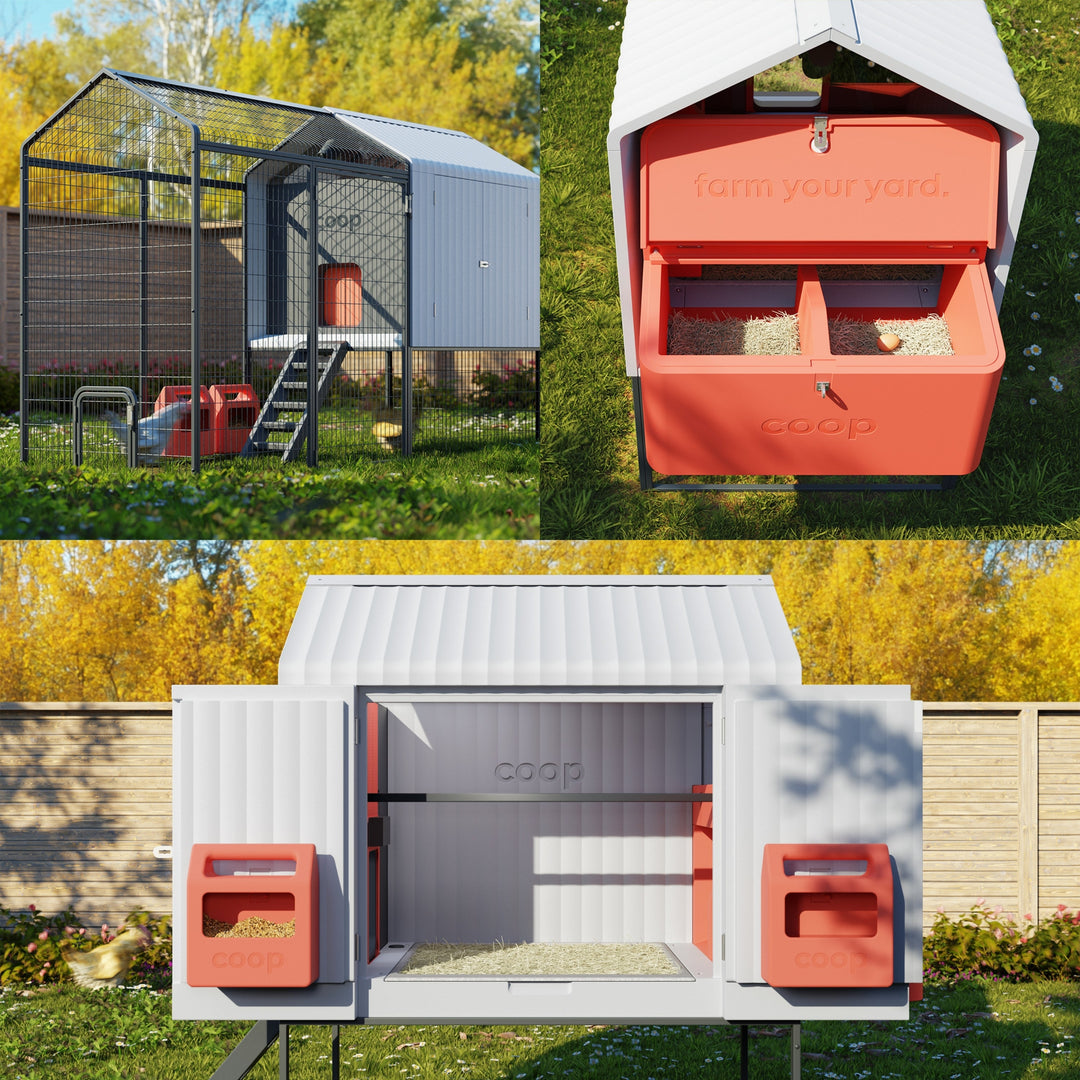 Smart Chicken Coop