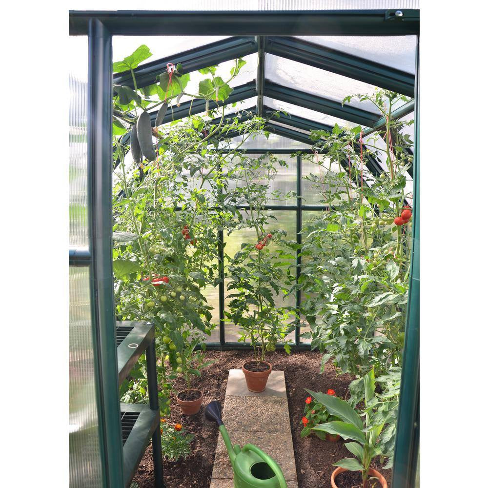 Eco-Grow 6 Ft. X 6 Ft. Green/Diffused DIY Greenhouse Kit