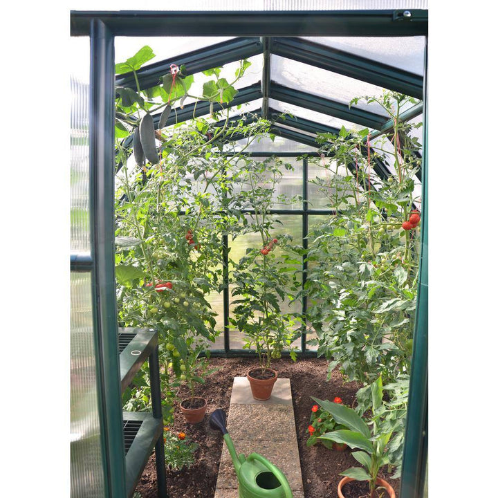 Eco-Grow 6 Ft. X 6 Ft. Green/Diffused DIY Greenhouse Kit
