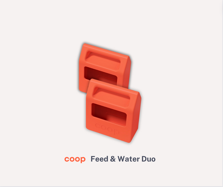 Feed + Water Duo for Chicken Coop
