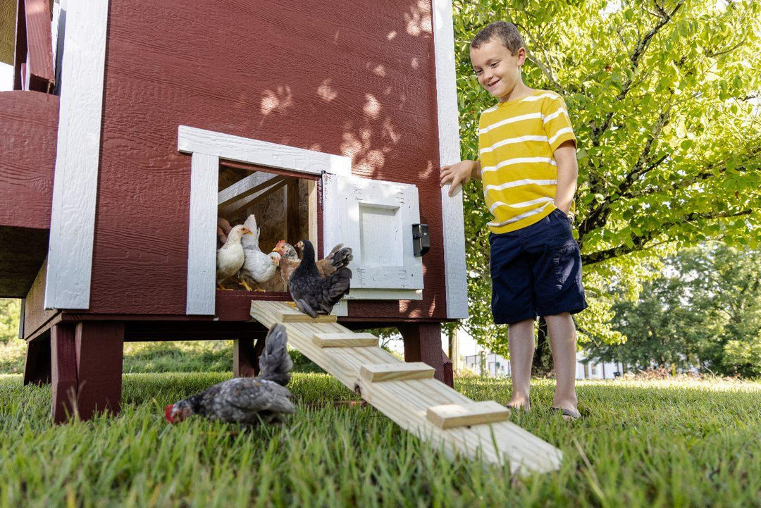 OverEZ Large Chicken Coop - Up to 15 Chickens