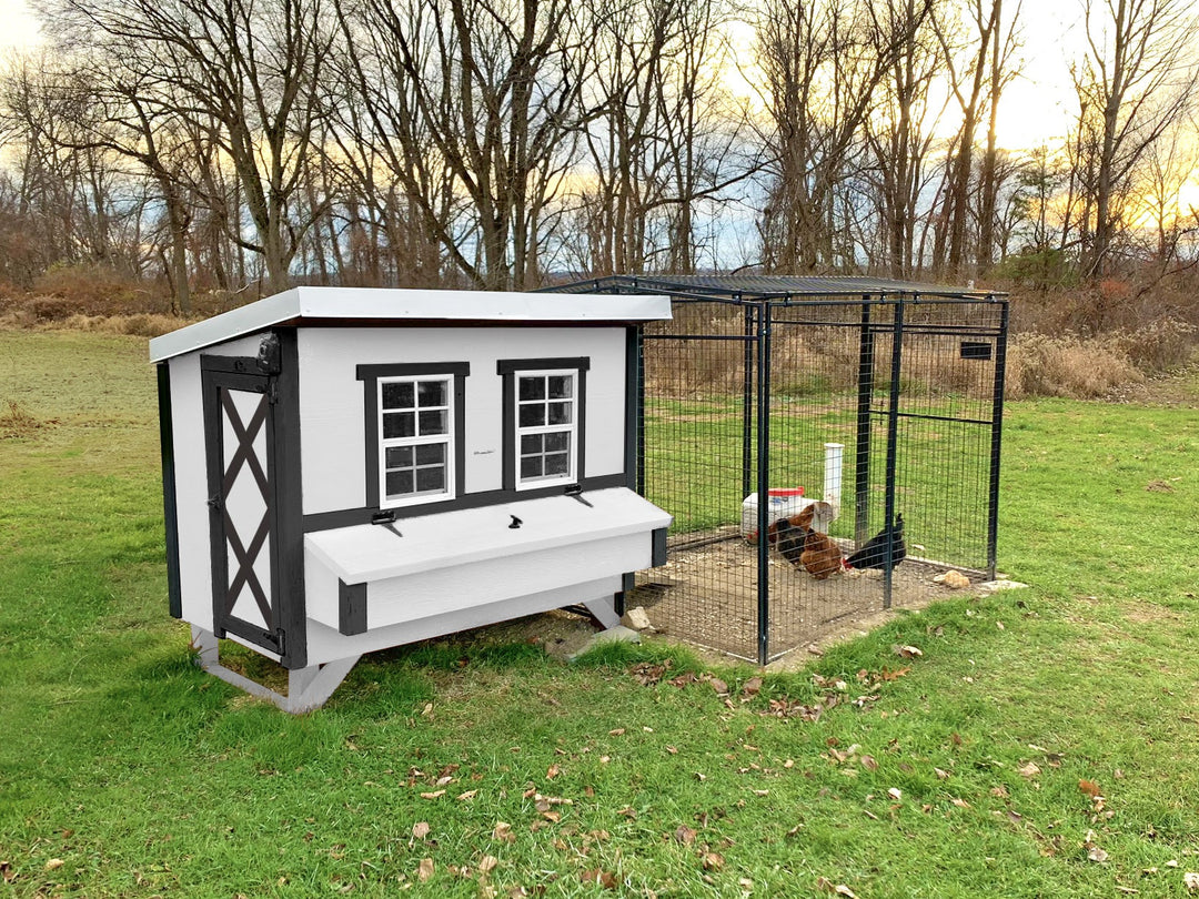 Medium Chicken Coop - Up to 10 Chickens