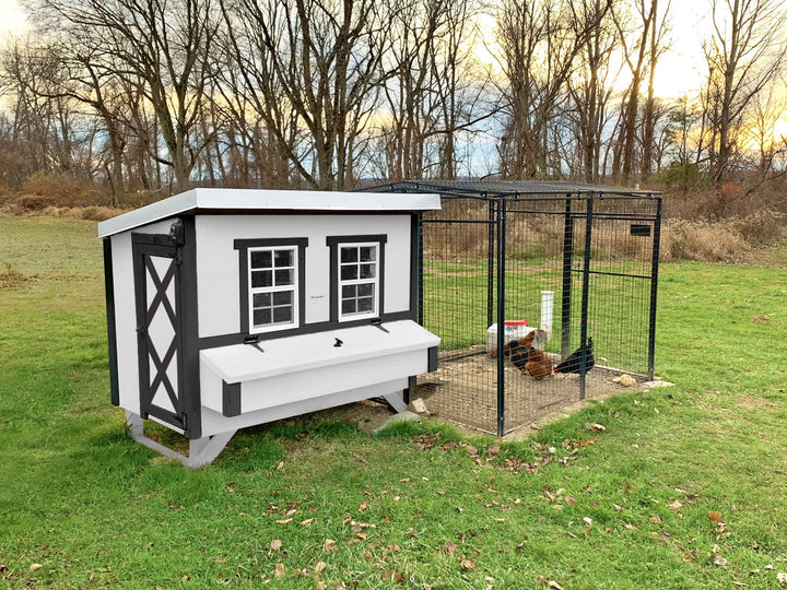 Medium Chicken Coop - Up to 10 Chickens