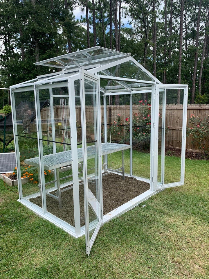 Sago GREENHOUSE  5&