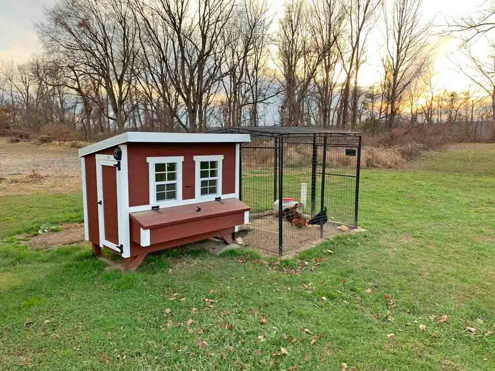 OverEZ Large Chicken Coop - Up to 15 Chickens