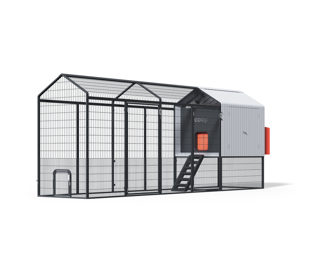 Smart Chicken Coop
