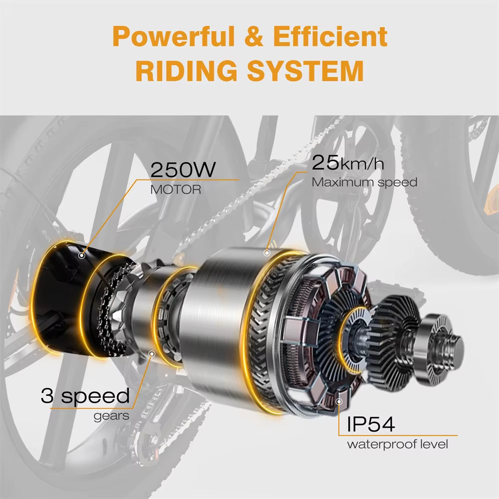 48V 26Ah Dual Battery, Mountain Fat Tire E-Bike
