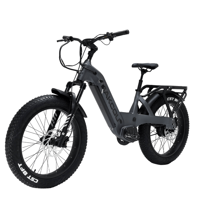 Flatlander SD