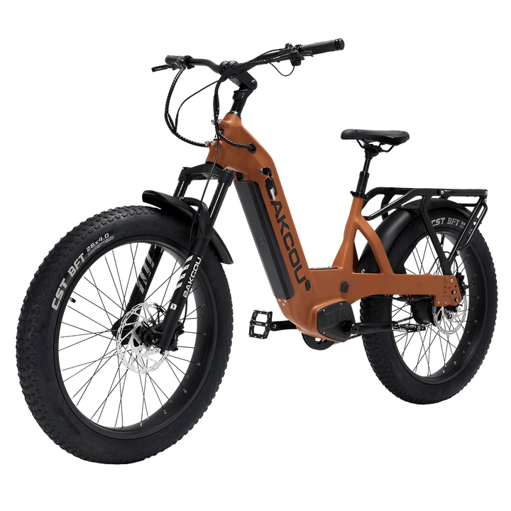 Flatlander SD
