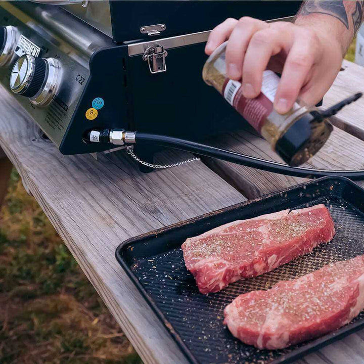 Monument Grills G22 Stainless Steel tabletop Propane Gas Grill