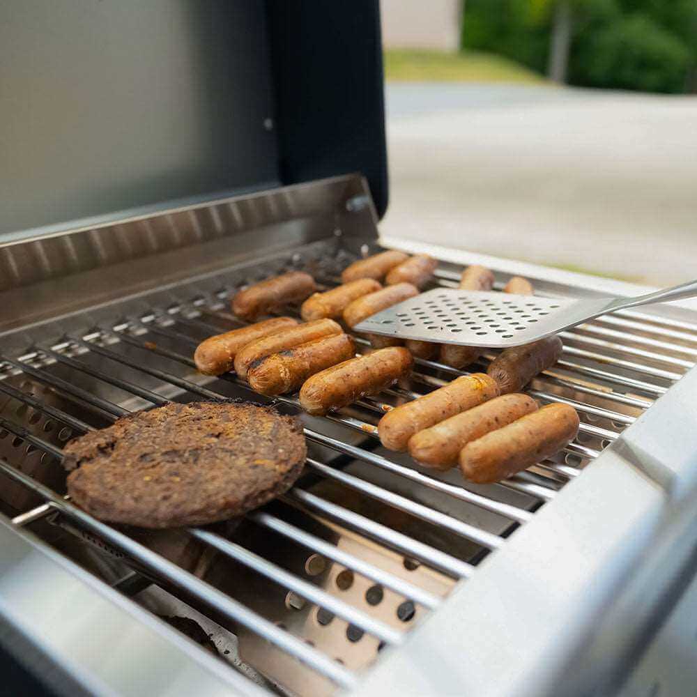 Monument Grills G22 Stainless Steel tabletop Propane Gas Grill