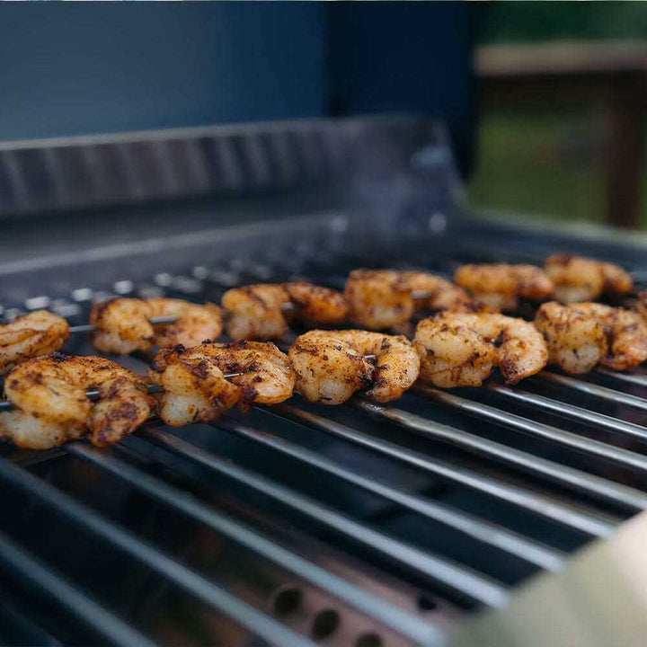 Monument Grills G22 Stainless Steel tabletop Propane Gas Grill
