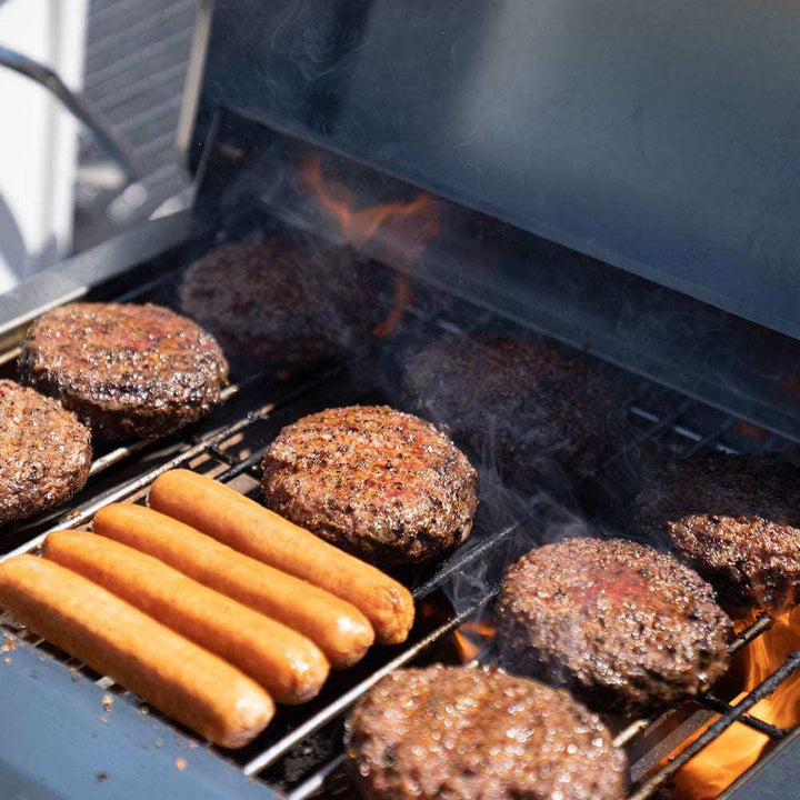 Monument Grills G22 Stainless Steel tabletop Propane Gas Grill
