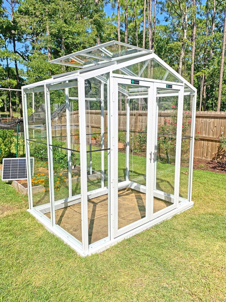 Sago GREENHOUSE  5&