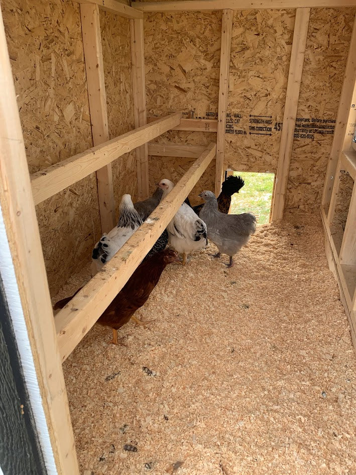 OverEZ Large Chicken Coop - Up to 15 Chickens