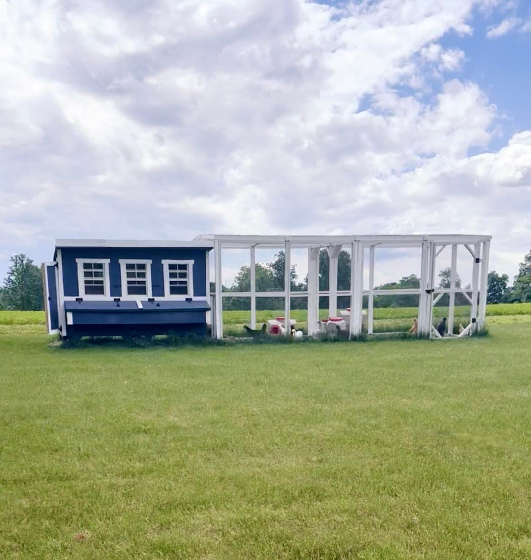OverEZ XL Chicken Coop / Up to 20 chickens