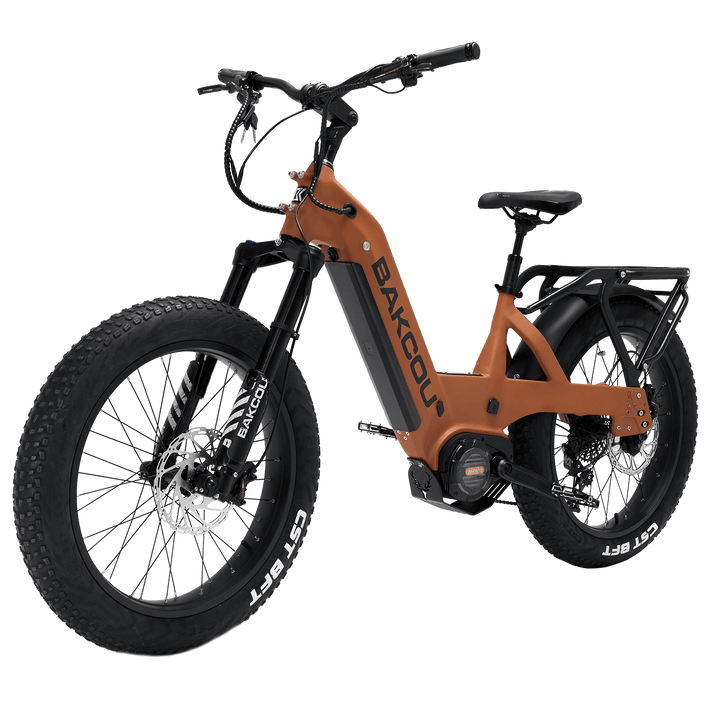 Bakcou Mule SD E-bike