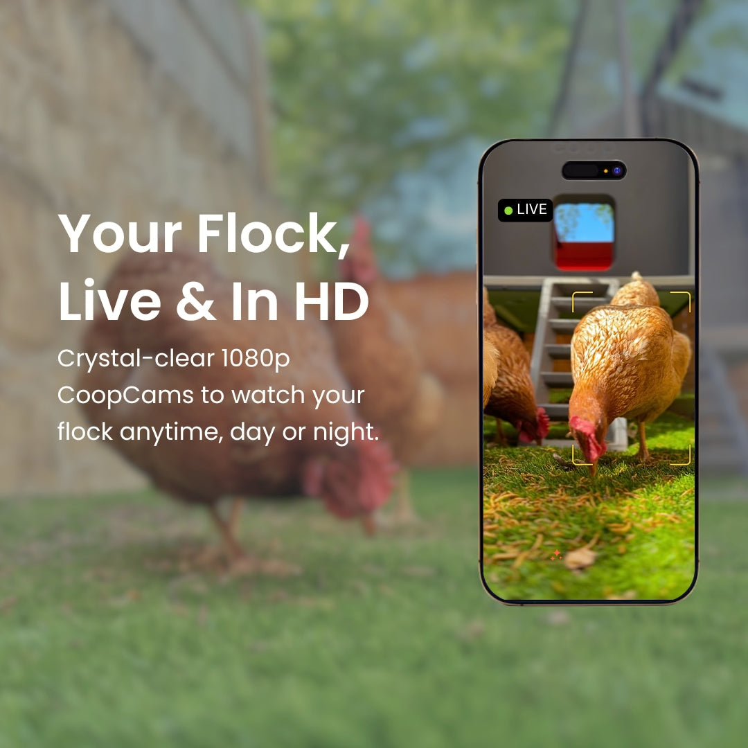 Smart Chicken Coop