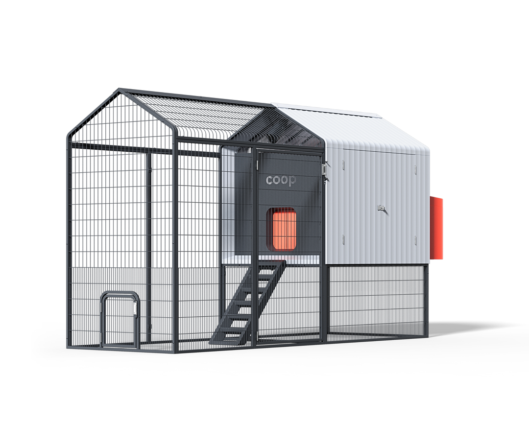 Smart Chicken Coop