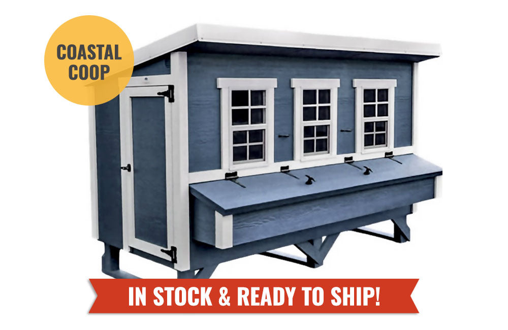OverEZ XL Chicken Coop / Up to 20 chickens