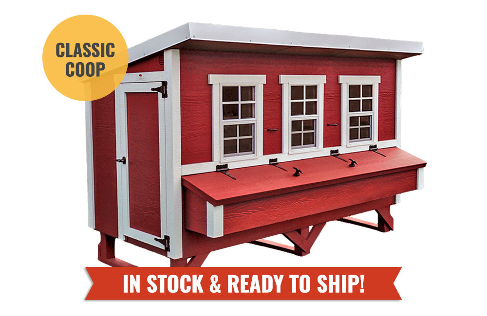 OverEZ XL Chicken Coop / Up to 20 chickens