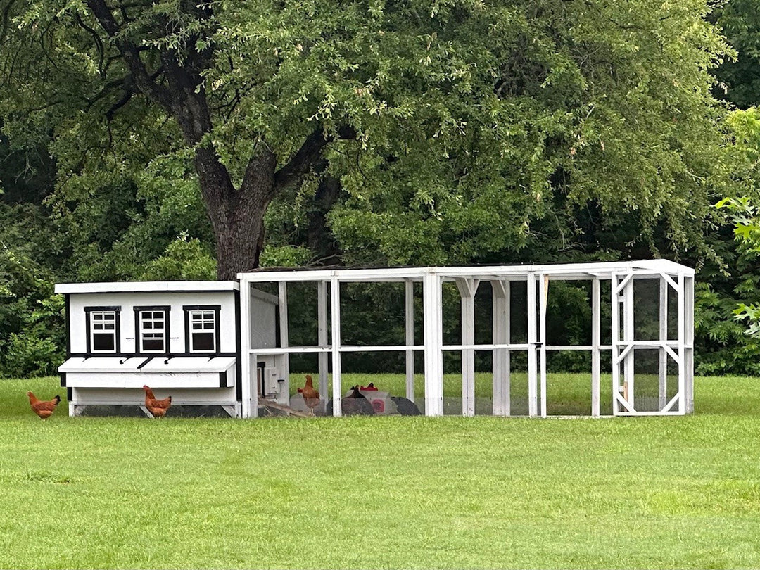 OverEZ XL Chicken Coop / Up to 20 chickens